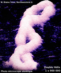 Stacks Image 6617