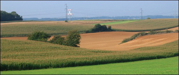 Stacks Image 10159